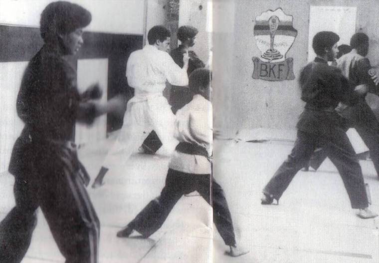 Steve Muhammad The Black Karate Federation (BKF) – The Cult Of Lexi The Wulf